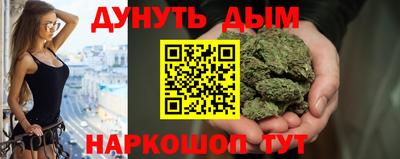 индика Пенза