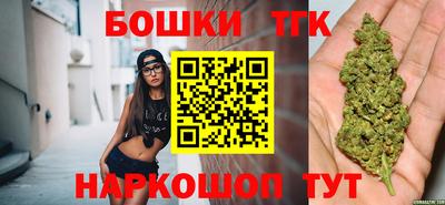 индика Пенза