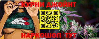 прущие грибы Первоуральск