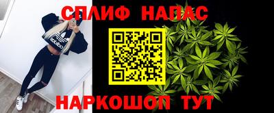 индика Пенза