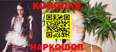 индика Пенза