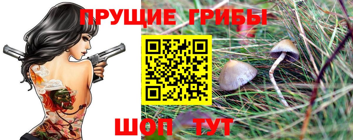 Сланцы  Галлюциногенные грибы Magic Shrooms  Вход с VPN 